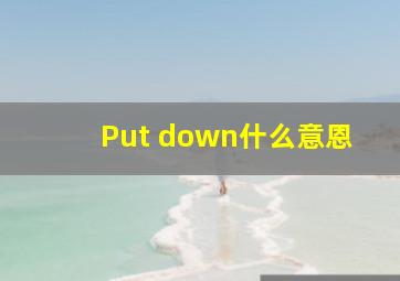 Put down什么意恩